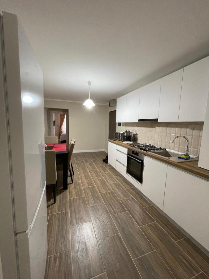 Nasaud Apartament 1 Lalelelor מראה חיצוני תמונה