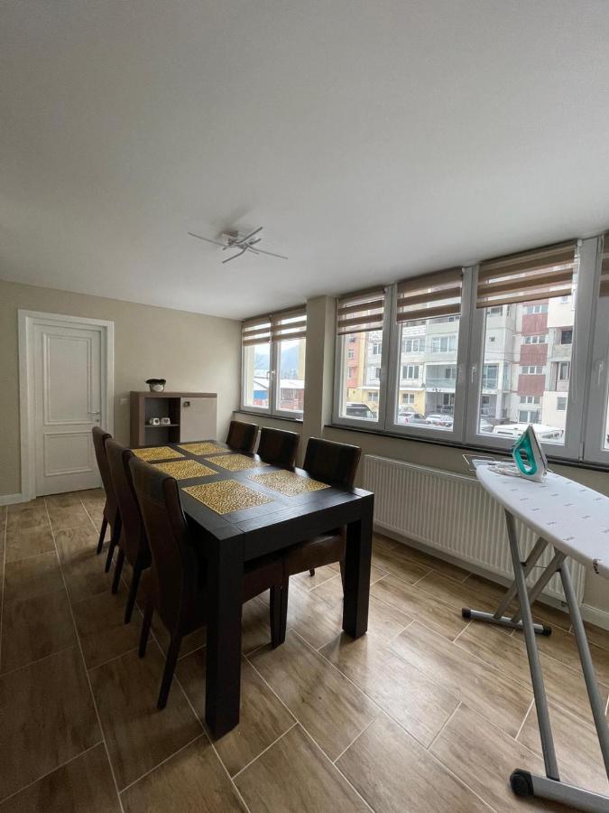 Nasaud Apartament 1 Lalelelor מראה חיצוני תמונה